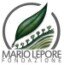 Fondazione Mario lepore